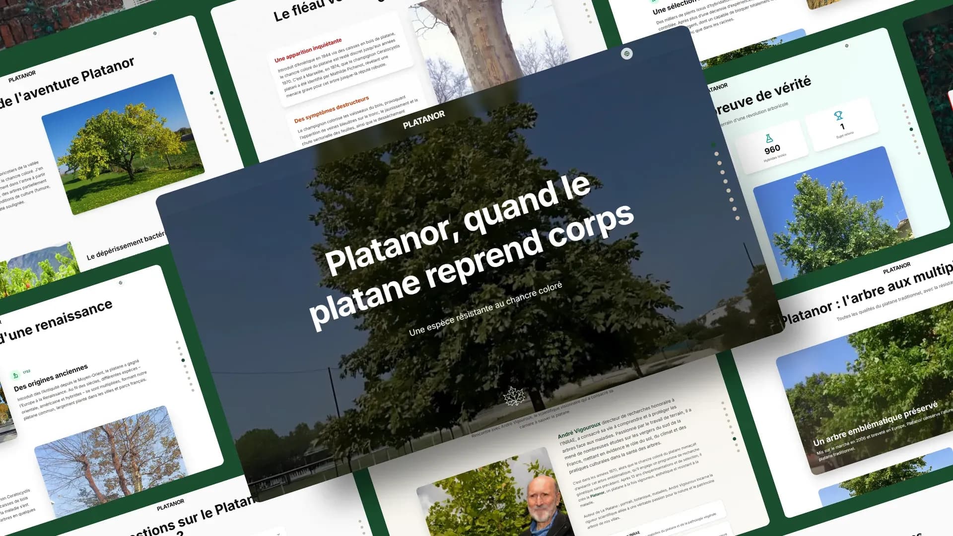 Aperçu du site vitrine développé par l’agence web Bracket Corp pour le projet Platanor.